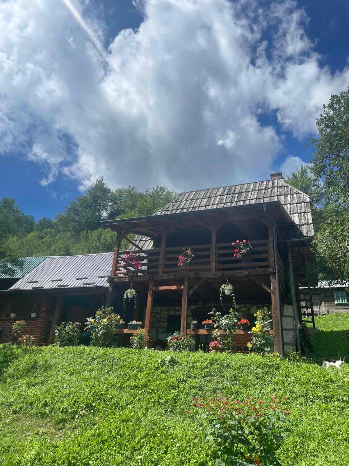 Dedina Kuca 1937 Appartement Mokra Gora Buitenkant foto