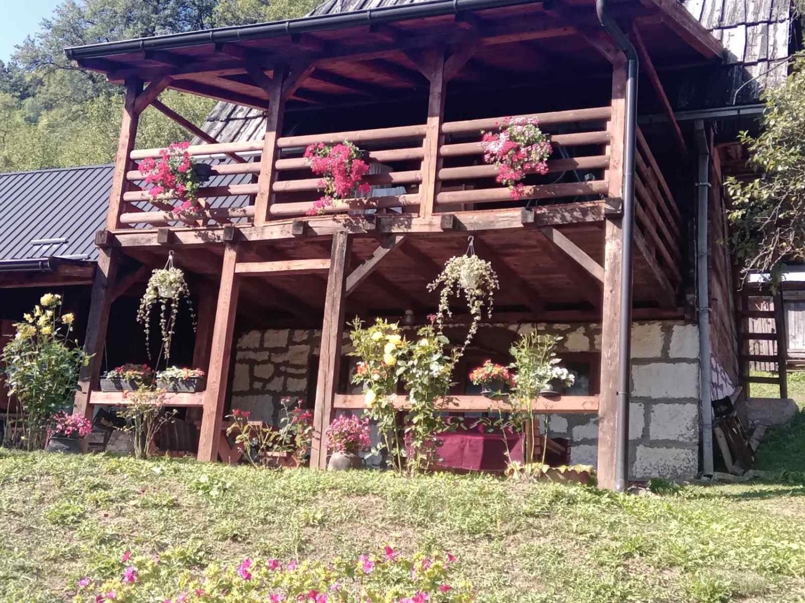 Dedina Kuca 1937 Appartement Mokra Gora Buitenkant foto