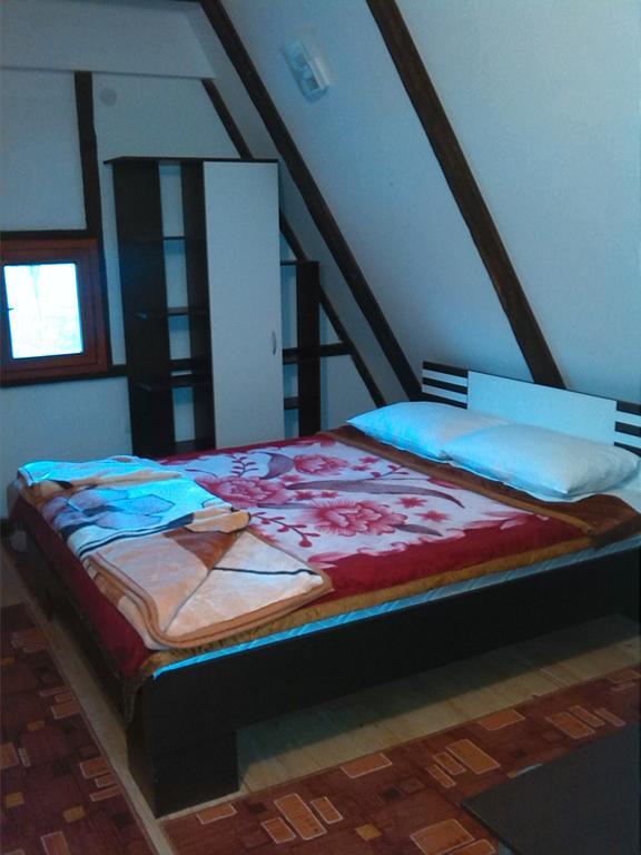 Dedina Kuca 1937 Appartement Mokra Gora Buitenkant foto